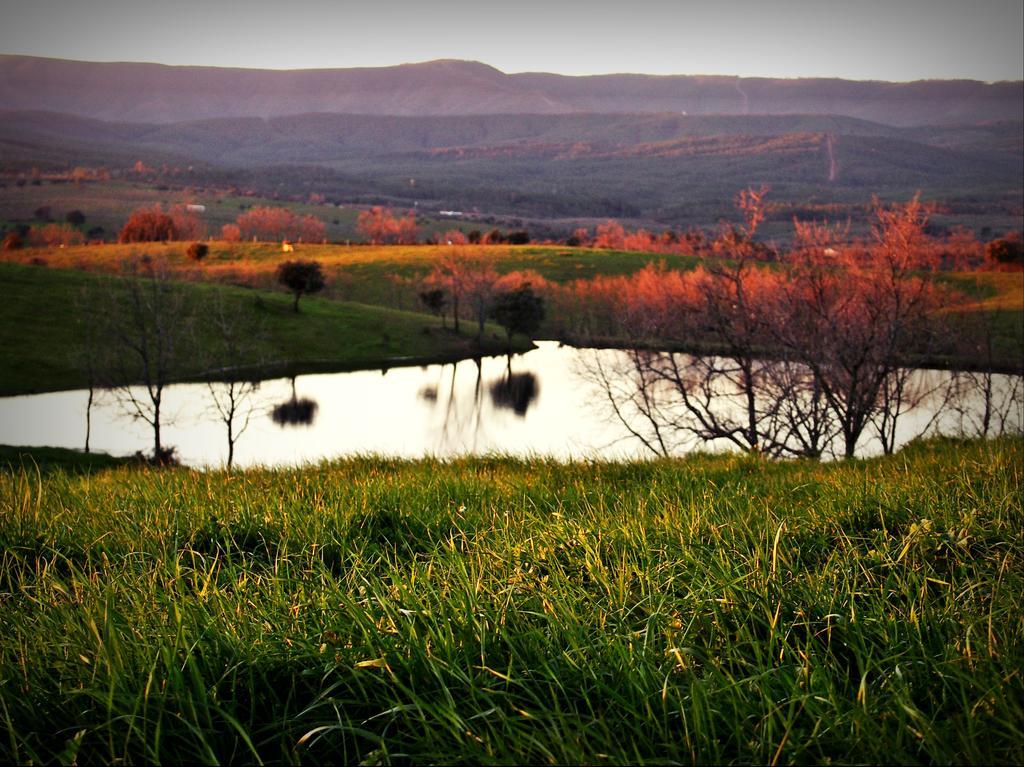 Casa Rural El Cabezo San Martin De Trevejo Bagian luar foto