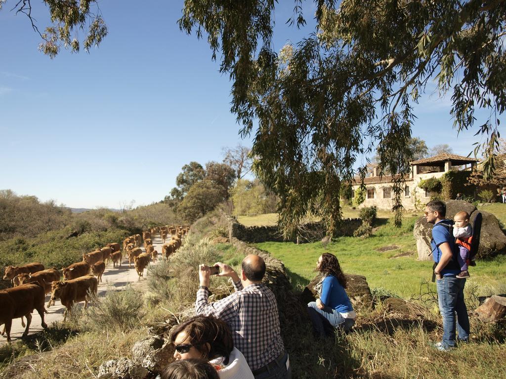 Casa Rural El Cabezo San Martin De Trevejo Bagian luar foto